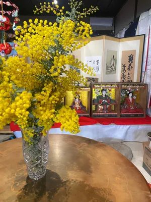 ３月１日日曜日
カレンダーで定休日と書いてましたが💦
オープンしております✨

ミモザとお雛様が皆様お越しをお待ちしております✨