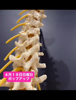 ４月１９日日曜日
ポップアップ

AIによる診断が出来ます✨
体を整えにきませんか❣️